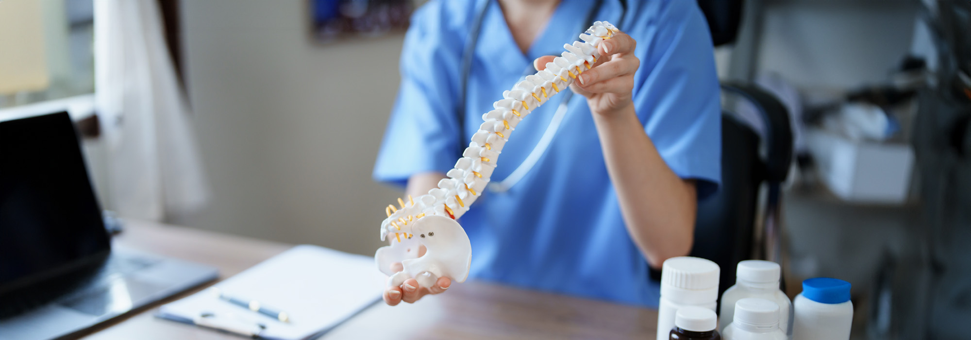 doctor holding model of human spine